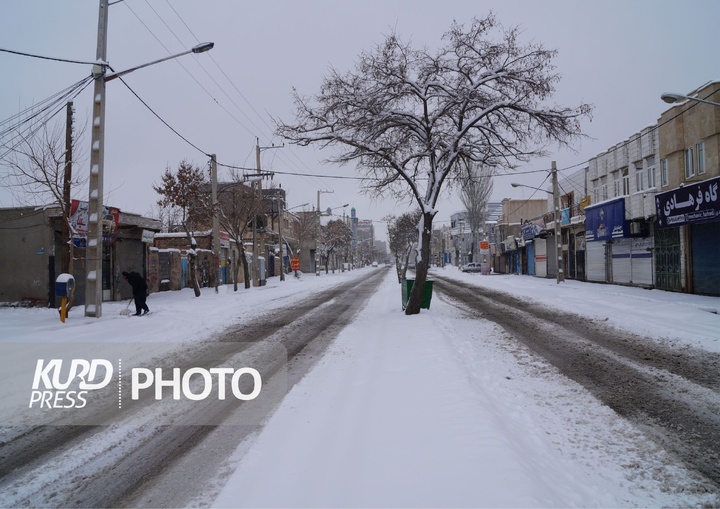 برف شادی