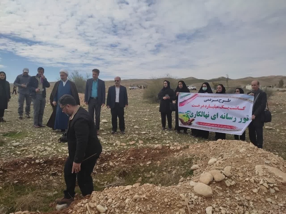 ۶ میلیون اصله نهال در ایلام تا پایان فروردین ۱۴۰۳ کاشت می شود