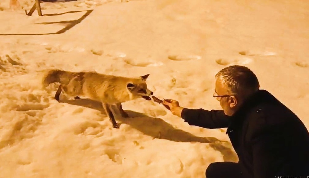 تصاویر زیبایی از حیات وحش اردهان در کردستان ترکیه