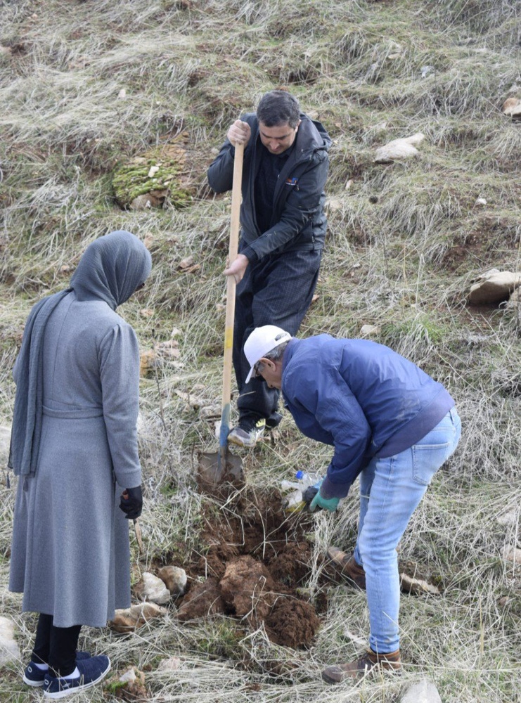 کاشت ۶۰۰ نهال دیم در روستای کانی کوچکینه روانسر