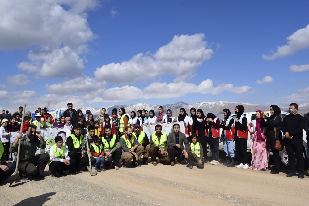 کاشت ۶۰۰ نهال دیم در روستای کانی کوچکینه روانسر