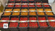 تصمیم وزارت کشاورزی مبنی بر رفع ممنوعیت واردات گوجه فرنگی از خارج به اقلیم کردستان