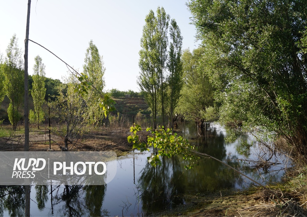 جاذبه های گردشگری قروه؛ زیبا اما رها