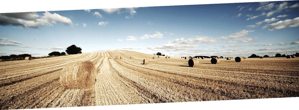 دنیا روی آب می چرخد