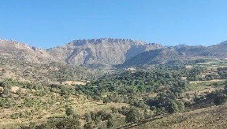 سیب سبز سرچاو دالاهو، برند ناشناخته ثلاث باباجانی / عثمان نصیری