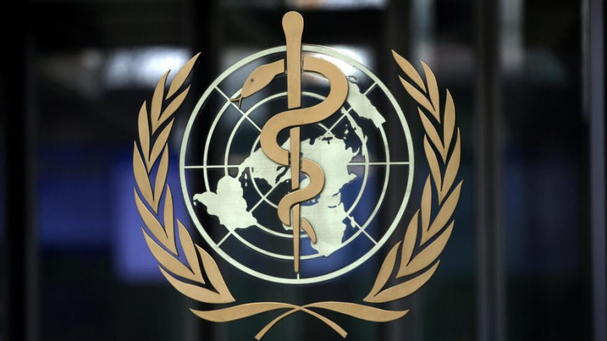 کشته شدن کارمند سازمان بهداشت جهانی در حمله روز سه‌شنبه به شرق دیرالزور