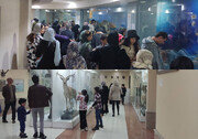 بازدید بیش از ٦ هزار نفر از موزه تاریخ طبیعی ارومیه