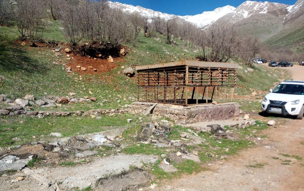 پارک ملی «هانه برالو» پاوه، متولی دلسوز میخواهد / دکتر محمد آشنا عباس منش