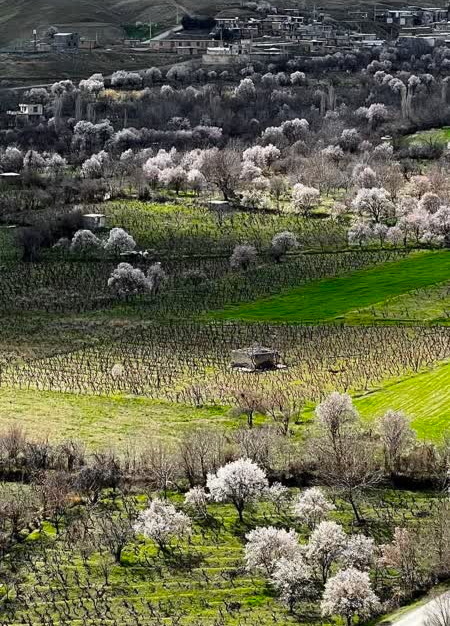 دینور به یک مقصد مهم گردشگری تبدیل شده است