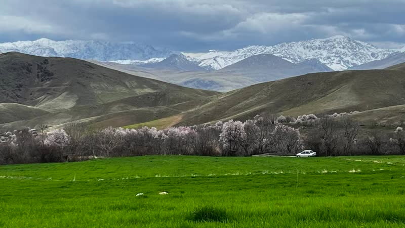 دینور به یک مقصد مهم گردشگری تبدیل شده است
