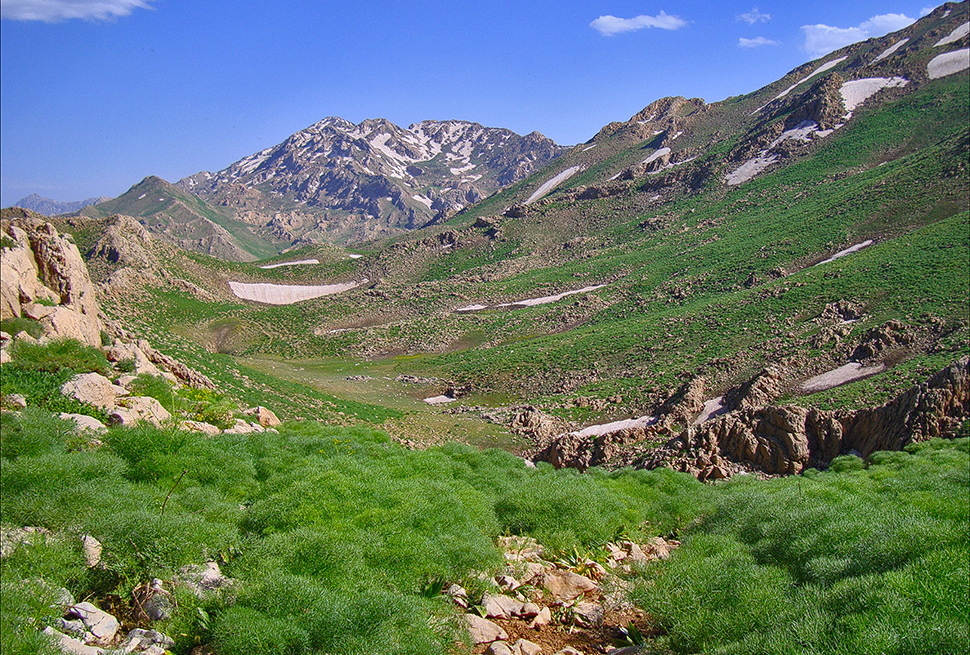 ورزش اسکای رانینگ در کوهستان شاهو / سابق حسینی