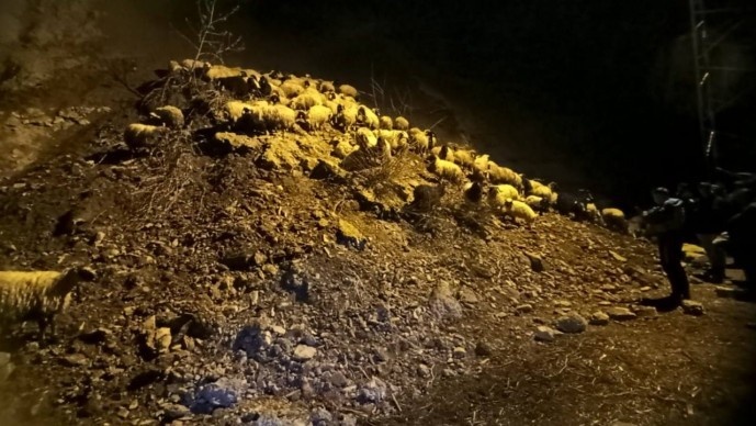 رانش زمین در حکاری، دام های مردم زیر خاک مدفون شدند