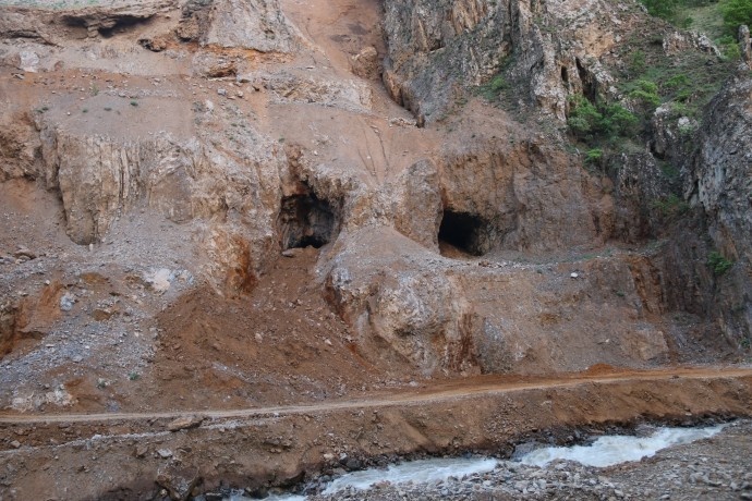 دستتان را از سرزمین های ما بکشید/درختان بلوط ما را قتل عام کردید + تصاویر