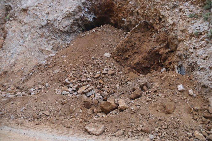 دستتان را از سرزمین های ما بکشید/درختان بلوط ما را قتل عام کردید + تصاویر