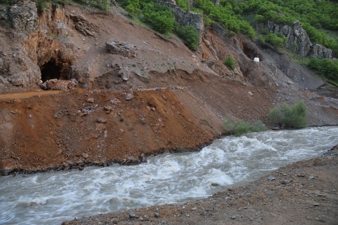 دستتان را از سرزمین های ما بکشید/درختان بلوط ما را قتل عام کردید + تصاویر