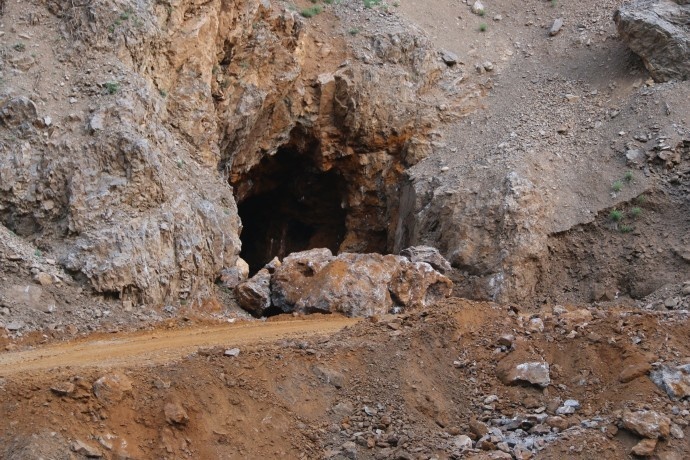 دستتان را از سرزمین های ما بکشید/درختان بلوط ما را قتل عام کردید + تصاویر