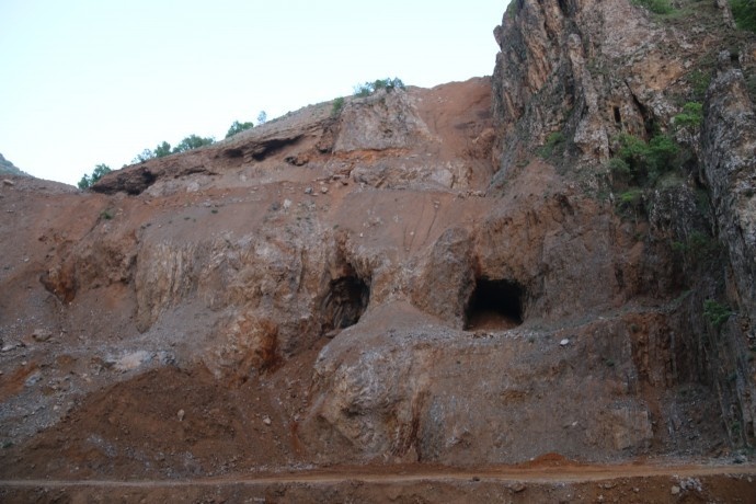 دستتان را از سرزمین های ما بکشید/درختان بلوط ما را قتل عام کردید + تصاویر