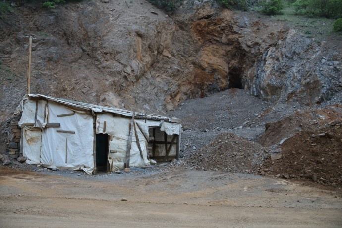 دستتان را از سرزمین های ما بکشید/درختان بلوط ما را قتل عام کردید + تصاویر