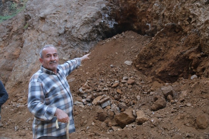 دستتان را از سرزمین های ما بکشید/درختان بلوط ما را قتل عام کردید + تصاویر