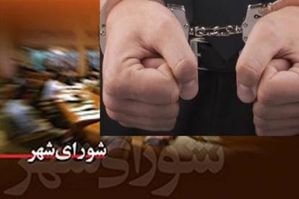 شوراها از شعار تا عمل/ محمدهادیفر