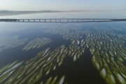 نیاز ١٤ میلیارد مترمکعبی آب برای احیای کامل دریاچه ارومیه/حجم کنونی ٢.٥ میلیارد مترمکعب است