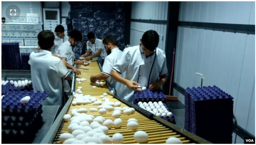 لە ۲۰ مەرزی هەرێمی کوردستان بە شێوەی قاچاخ و بازرگانی ئەنجام دەدرێت