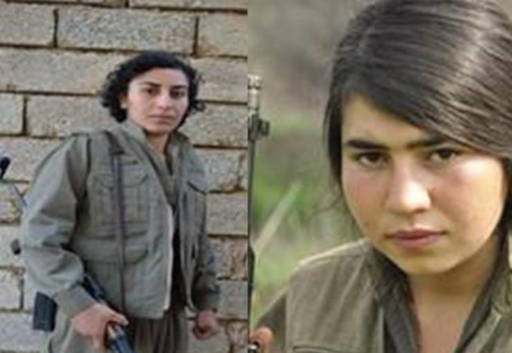 میت ترکیه: کشته شدن دو تن از نیروهای PKK در اقلیم