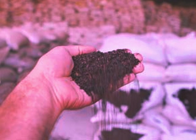 کشف بیش از ۱ تن چای قاچاق در مهاباد
