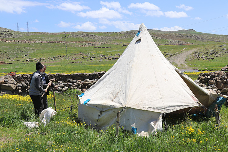 عشایر کوچرو چادرهای خود را در فلات سینک آگری برپا می کنند + تصاویر