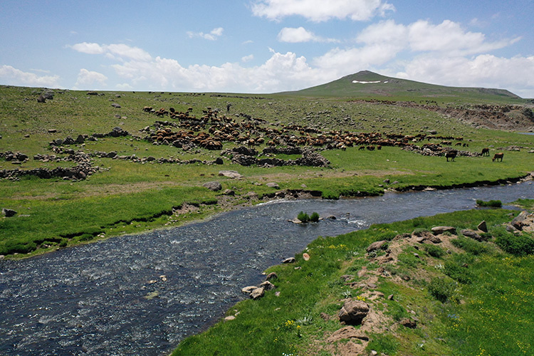 عشایر کوچرو چادرهای خود را در فلات سینک آگری برپا می کنند + تصاویر