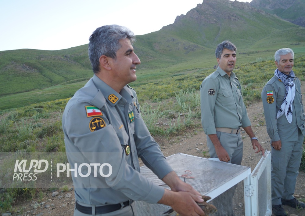 محیط زیست نیازمند حفاظت همگانی است