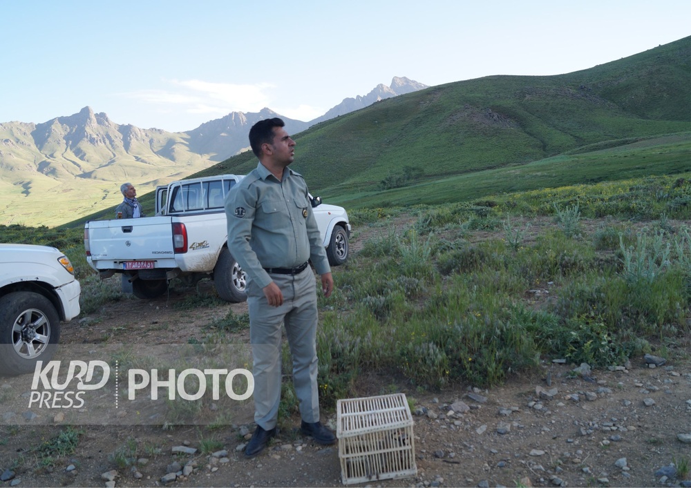 محیط زیست نیازمند حفاظت همگانی است