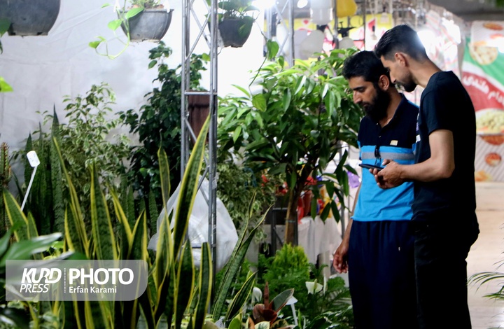 نمایشگاه گل و گیاه