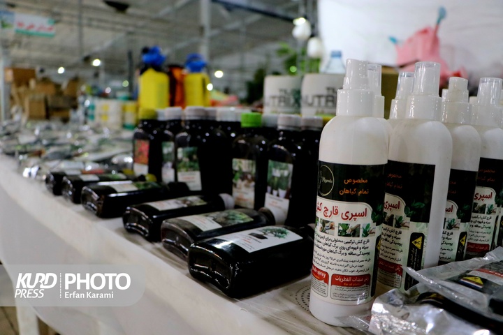 نمایشگاه گل و گیاه