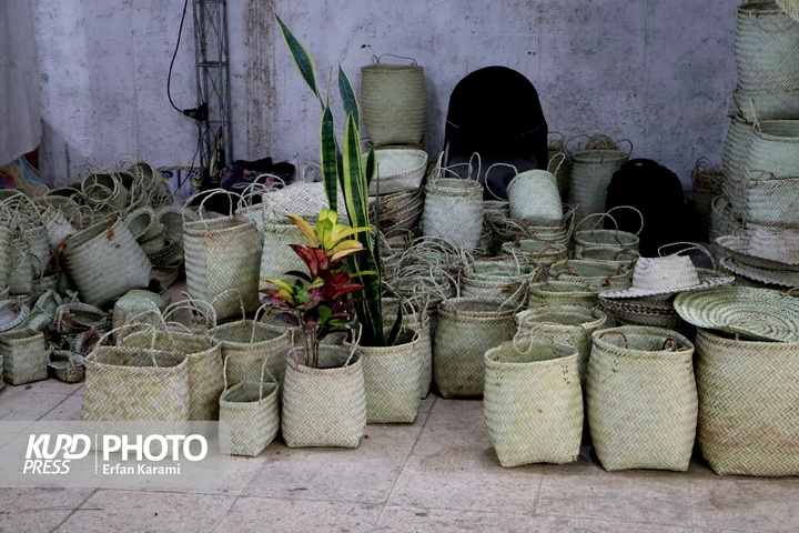 نمایشگاه گل و گیاه
