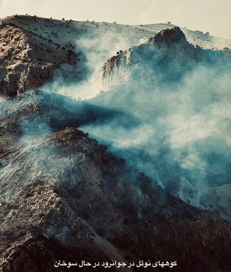 گسترش آتش سوزی ها در جنگل های اورامانات / مهار آتش سوزی در جنگل های شَشول جوانرود نیازمند اعزام بالگرد است