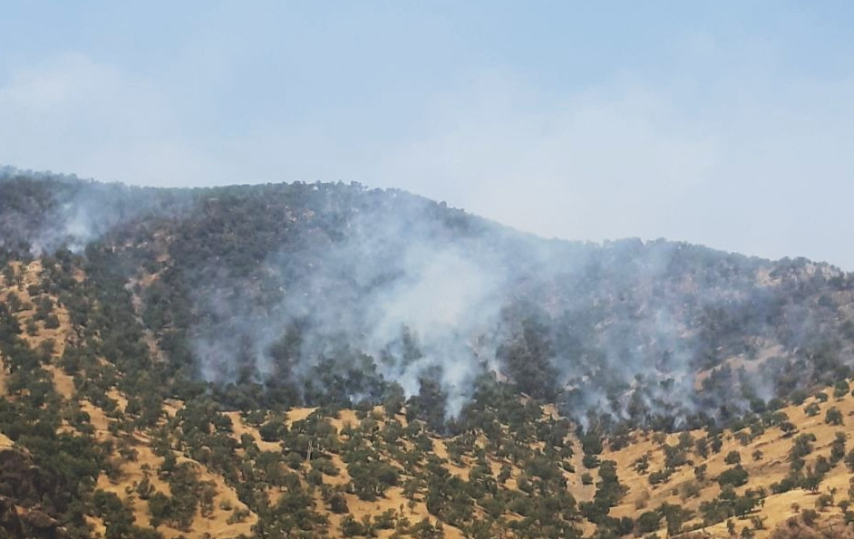 تداوم آتش سوزی ها در جنگل های پاوه / جنگل های چله و ویژنان گیلانغرب هم دچار آتش سوزی شدند