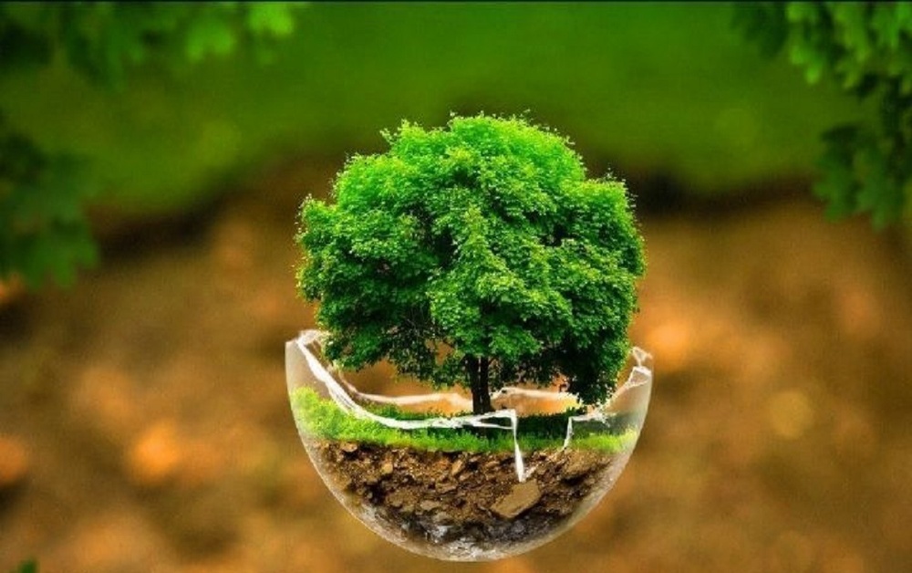 توضیحات محیط زیست در خصوص مجوز لرزه نگاری در منطقه حفاظت شده مانشت و قلارنگ