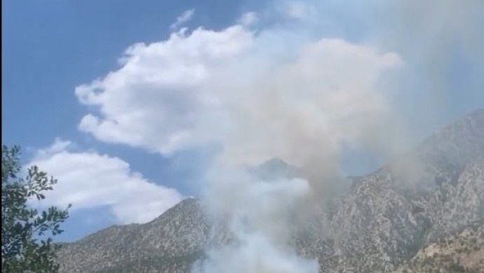 آتش سوزی در ارتفاعات دهوک در نتیجه بمباران جنگنده های ترکیه