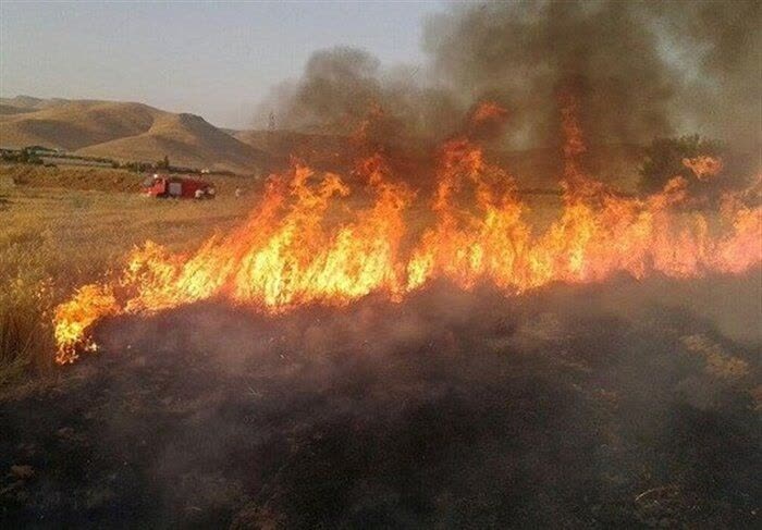 20 هکتار از مزارع و مراتع دالاهو در آتش سوخت