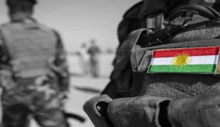 International coalition in Iraq says reforms in Peshmerga forces are inevitable International coalition in Iraq says reforms in Peshmerga forces are inevitable