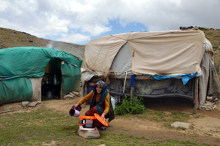 تصاویری زیبا از زندگی عشایر و دامداران در کردستان ترکیه