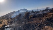 آتش سوزی گسترده در جنگل  های بیونیج دالاهو