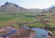 ۳۷ هزار هکتار اراضی کشاورزی پائین دست سدهای کردستان، از دیم به آبی تبدیل می شوند
