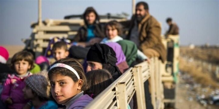 The World Food Program has reduced emergency aid to Syria by 50%