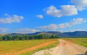 بمباران کوهستان قزوان حسکه توسط پهپاد مسلح ترکیه و وقوع آتش سوزی