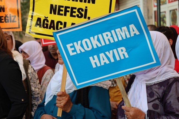 کشتار درختان در شرناخ یک سیاست حکومتی است + فیلم