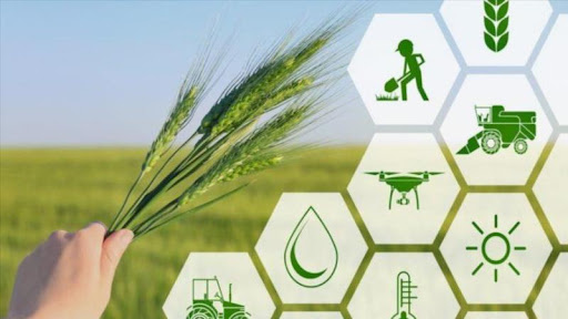 Extortion of 35% of Afrin farmers’ products