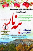 جشن شکرانه تولید محصول انار در پاوه برگزار می شود