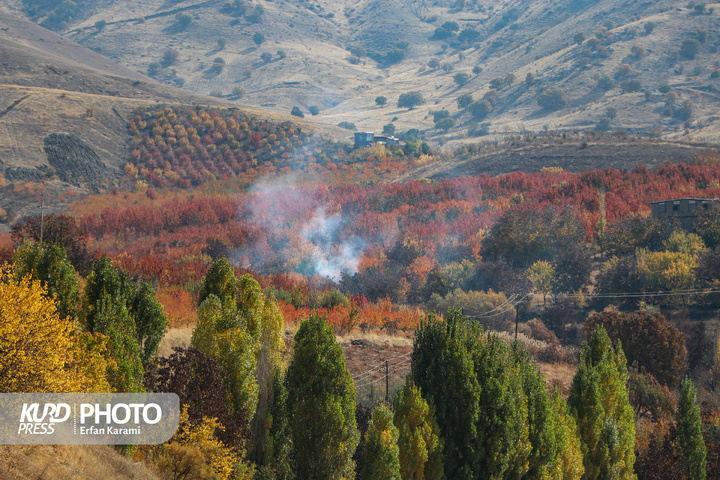 پاییز کردستان